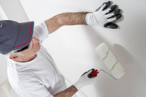 Best Commercial Mold Inspection  in Memphis, MO