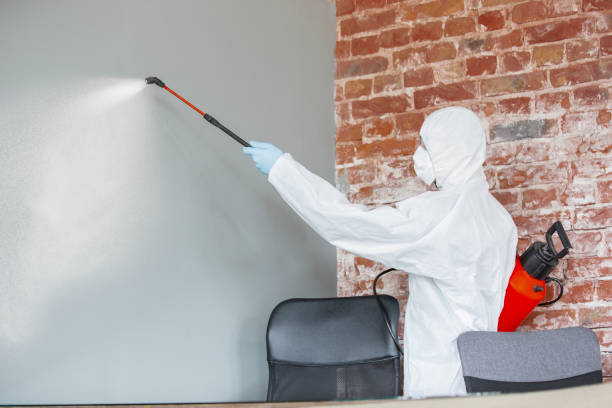Mold Remediation for Vacation Homes in Memphis, MO